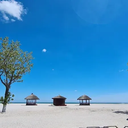 Apartament Alezzi Beach Frontal La Mare *